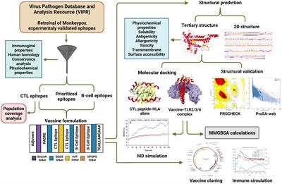 Frontiers | Contriving Multi-epitope Vaccine Ensemble For Monkeypox ...